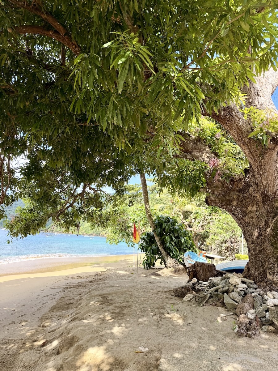 grafton beach villas